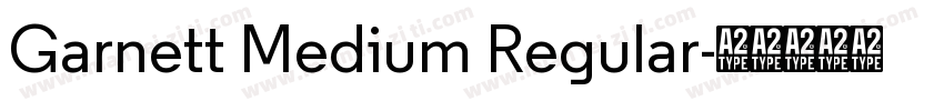 Garnett Medium Regular字体转换